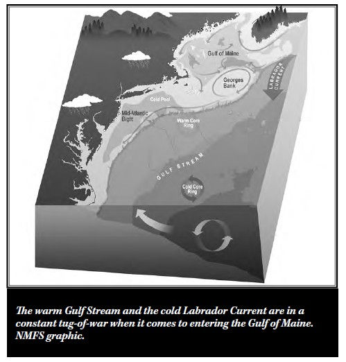 Your Questions, Answered: Is the Gulf of Maine getting colder?