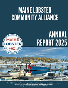 MLCA 2025 Annual Report.png