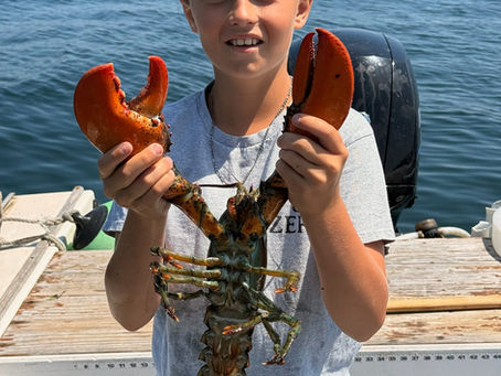 MLA Junior Harvester: Tommy Werner