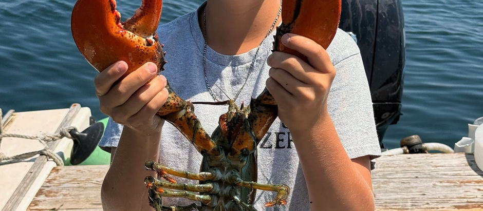 MLA Junior Harvester: Tommy Werner