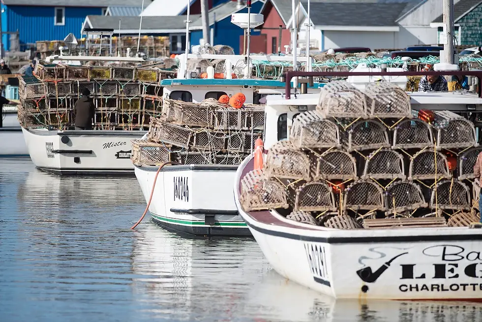P.E.I. lobstermen have been hit with cold water and right whale closures this spring. CBC photo.