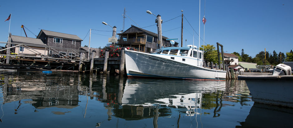Lobster Surveys Show Healthy Stock Despite Decrease in Landings