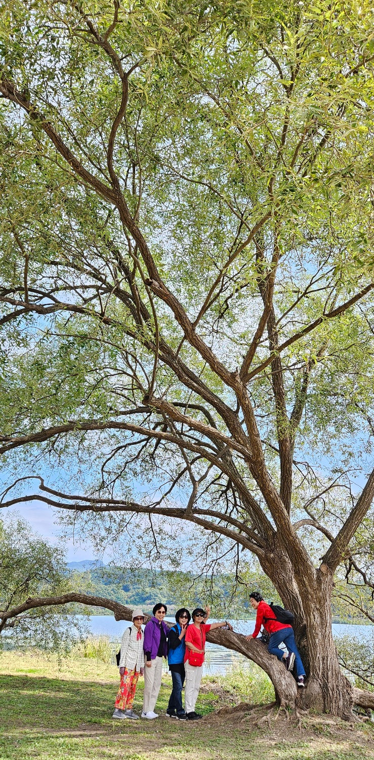 ree