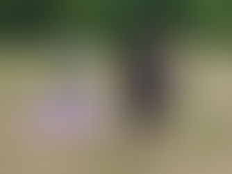 2022.5.29 초등소년부 비전운동회