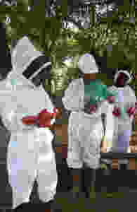 Mwadu group learning beekeeping