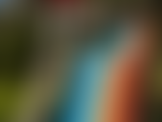 "Summary Judgment Found to be Entirely Inappropriate" - Dia v Calypso Theme Waterpark, 2021 ONCA 27