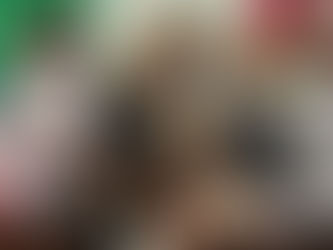 ‘Estamos contigo, Grecia’: Viuda de Carlos Manzo es elegida como alcaldesa de Uruapan: 05/11/2025 BREVES  NACIONALES