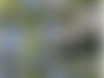 Pasos para retrasar el alzhéimer hasta siete años