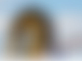 SIX FLAGS DICE ADIÓS TRAS 50 AÑOS ABIERTO AL PÚBLICO