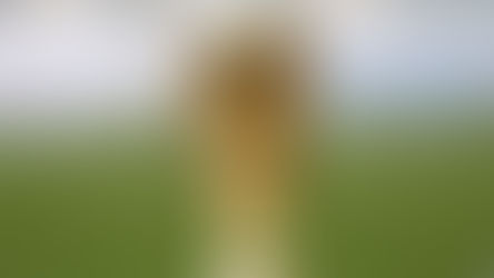 Las selecciones africanas y asiáticas que podrían clasificar al Mundial de 2026 esta semana: 06/10/2025 BREVES INTERNACIONALES