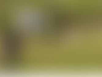 Monos escapan de un camión volcado en una autopista de Mississippi: 28/10/2025 Síntesis