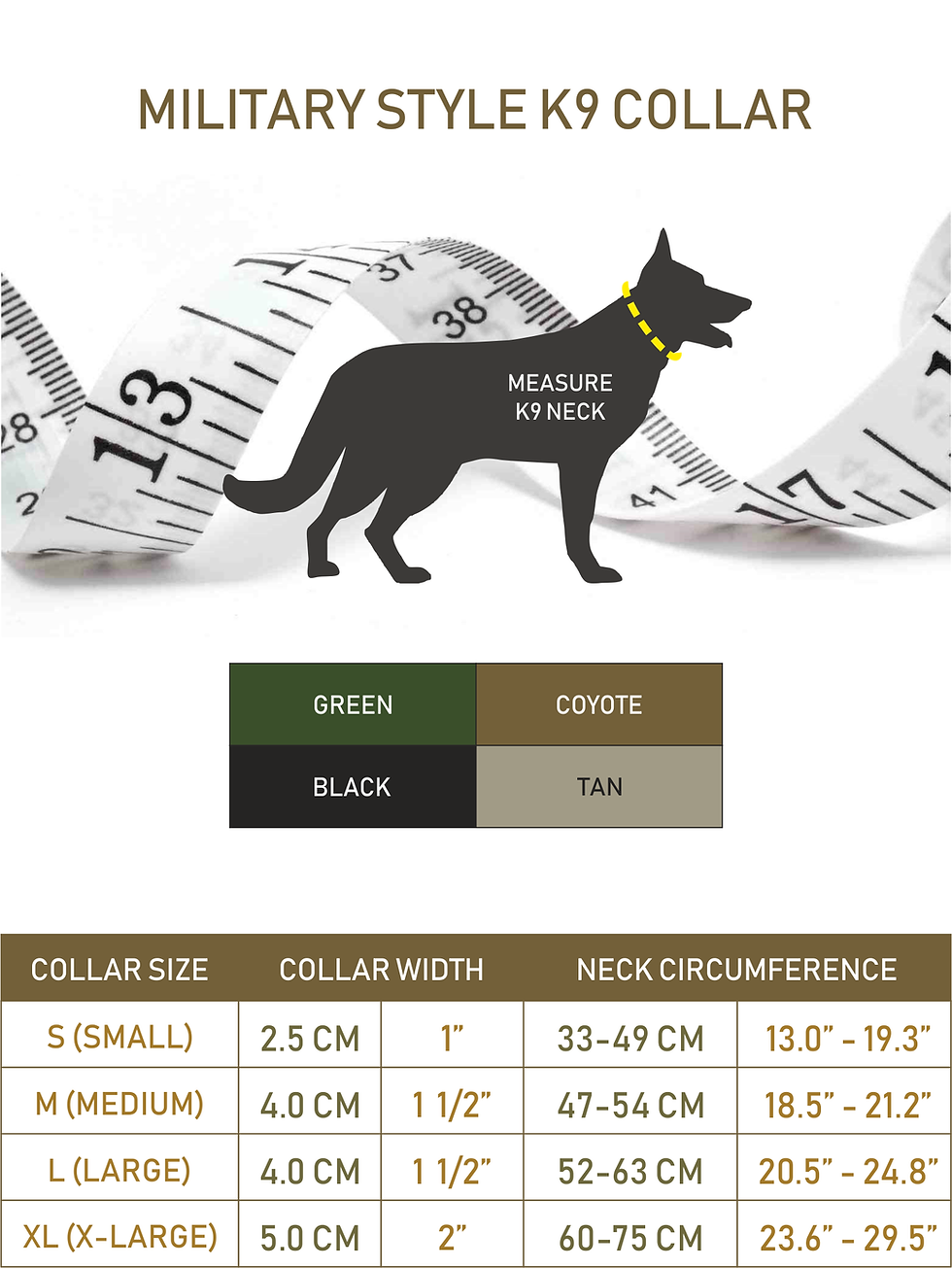 Thumbnail: Military Style K9 Collar with Standard Buckle