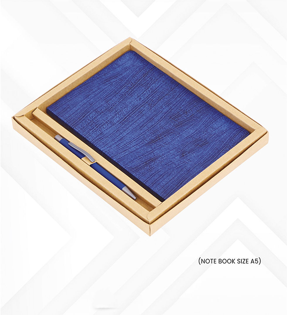 2 in 1 Blue Notebook and Pen Combo Gift Set