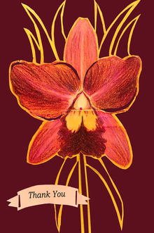 Greeting Cards for sale!