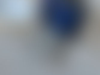 The Hive to Home Network: Production and Distribution