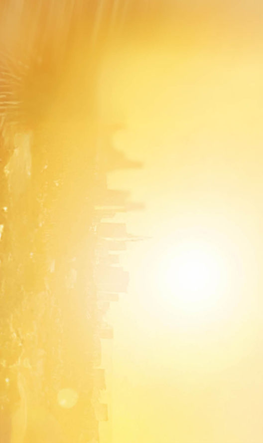 LWY_Web_KA_2_CITY.jpg