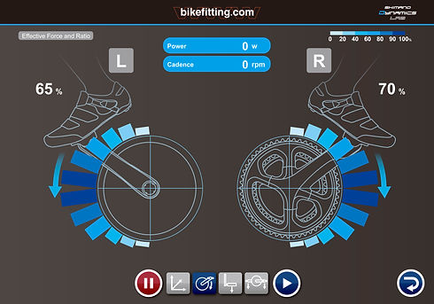 Professional Bike Fitting for Triathletes