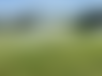 Oakfield Turf Update