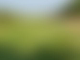 August Update