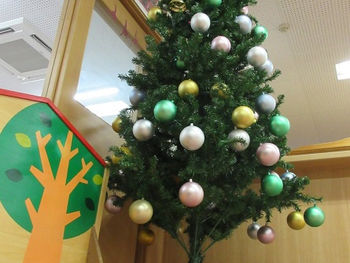 12月1日(火) 大きな木