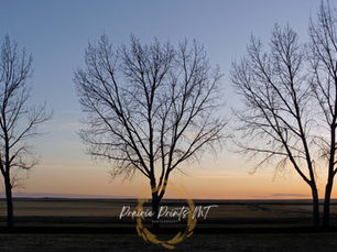 Declutter Your Home, Declutter Your Mind: The Surprising Link Between Home Organization and Mental Wellbeing