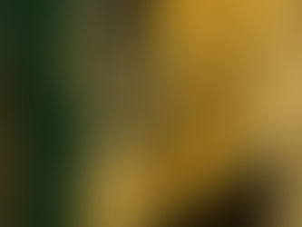 Jealousy – The Mirror That Burns