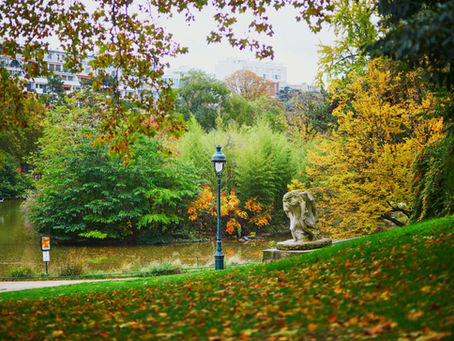 Rituals That Root Me: A Mindful Day in Paris