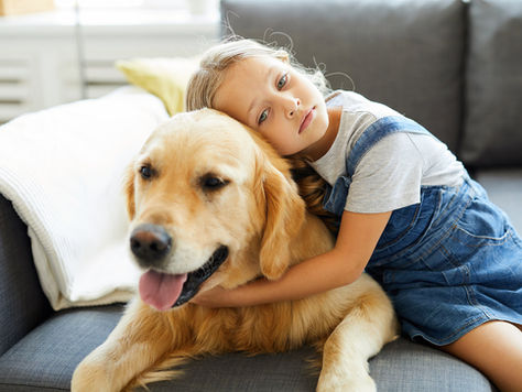 Glam Médiation Animale: Where Healing Begins with a Paw