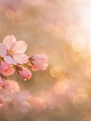 When the Inner World Begins to Bloom Again