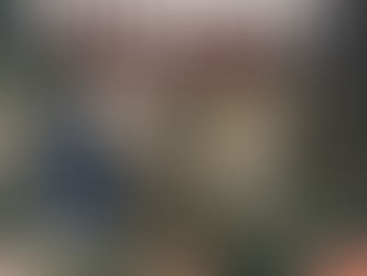 “Natures Vivantes”: A Journey Through Albert Kahn’s Gardens