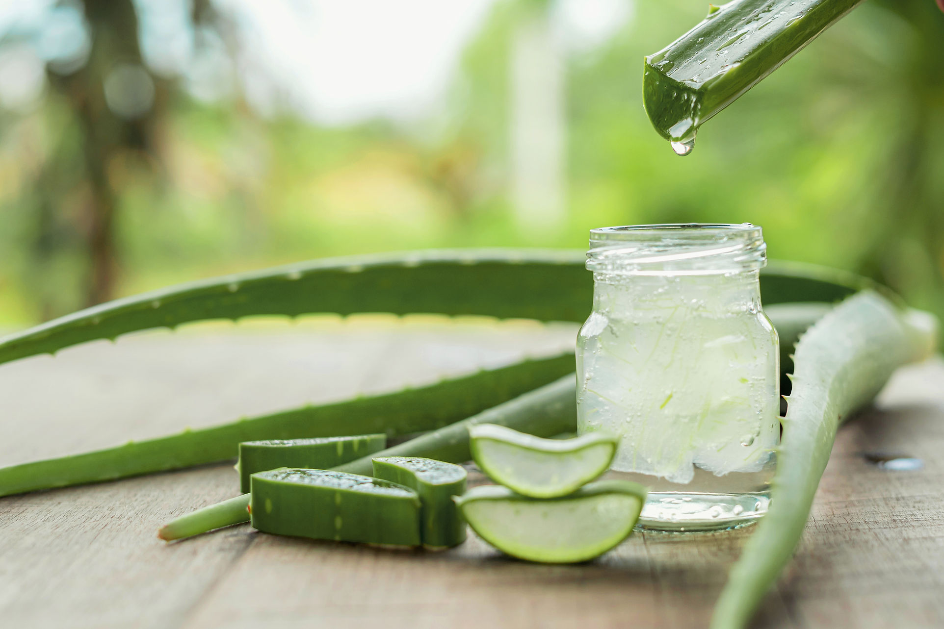 AdobeStock_285066269 (1).jpeg