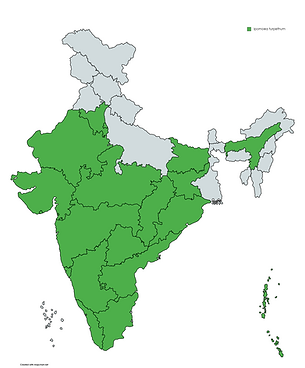 MapChart_Map (36).png