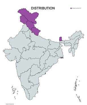 MapChart_Map (14)_edited.jpg