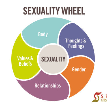 How My Sexuality Affects Me