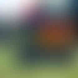 single parent support group