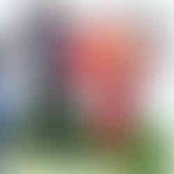 single parent support network