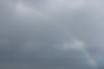 Rainbow with birds