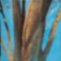_DSC9402_1 Truncated.jpg