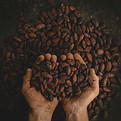 pablo-merchan-montes-SCbq6uKCyMY-unsplash.jpg