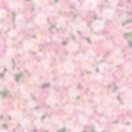 AdobeStock_172917409_resized_edited_edit