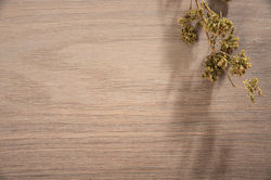 digilogico wood 3.2
