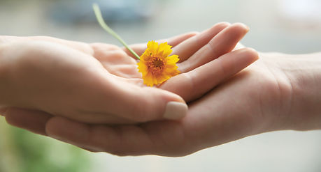 Hand held out holding a small yellow flower