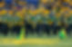 NDSU_FootballBand.jpg