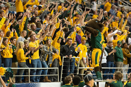 NDSU_FootballFans.jpg