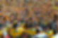 NDSU Football Fans 2018 National Championship.jpg