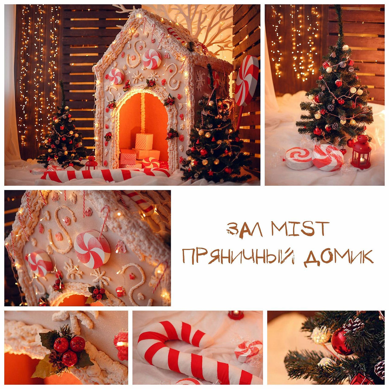 imageCALPUF6E