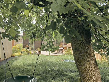 Natuurlijke zonnewering met boom