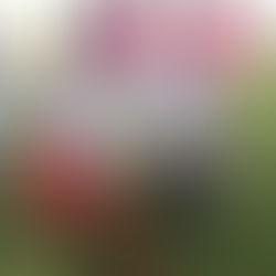 Development in Trinidad and Tobago - James Baird