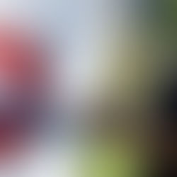 Coach Available - Daryl Willard