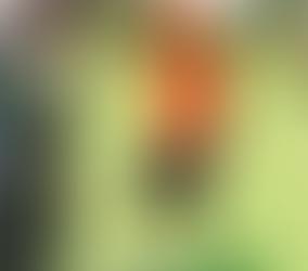 Developing Lives & People Through Football - Ahmed Ali